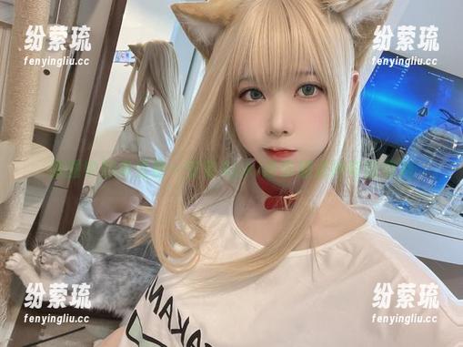 原图中的黄豆粉—安食Ajiki给你加点神奇的调料